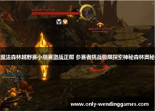 魔法森林越野赛小组赛激战正酣 参赛者挑战极限探索神秘森林奥秘 魔法森林越野赛小组赛激战正酣 参赛者挑战极限探索神秘森林奥秘