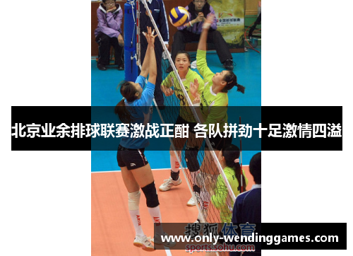 北京业余排球联赛激战正酣 各队拼劲十足激情四溢 北京业余排球联赛激战正酣 各队拼劲十足激情四溢