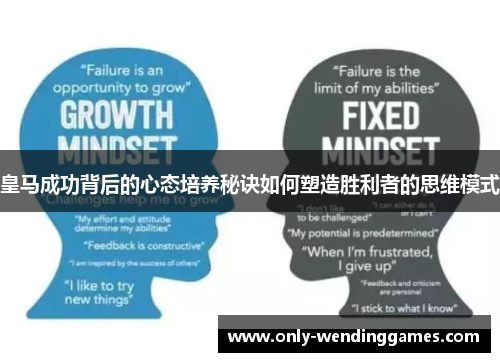 皇马成功背后的心态培养秘诀如何塑造胜利者的思维模式 皇马成功背后的心态培养秘诀如何塑造胜利者的思维模式