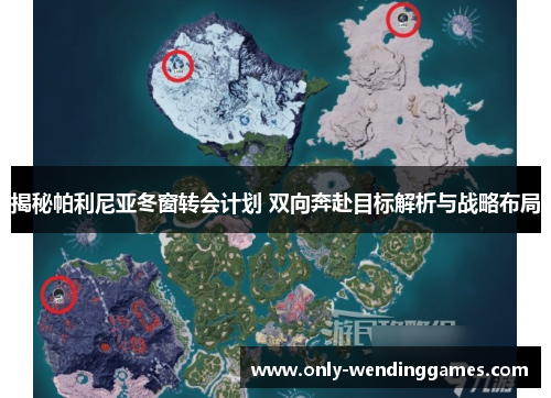 揭秘帕利尼亚冬窗转会计划 双向奔赴目标解析与战略布局 揭秘帕利尼亚冬窗转会计划 双向奔赴目标解析与战略布局