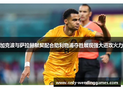 加克波与萨拉赫默契配合助利物浦夺胜展现强大进攻火力 加克波与萨拉赫默契配合助利物浦夺胜展现强大进攻火力