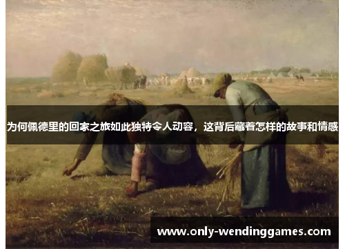 为何佩德里的回家之旅如此独特令人动容,这背后藏着怎样的故事和情感 为何佩德里的回家之旅如此独特令人动容,这背后藏着怎样的故事和情感