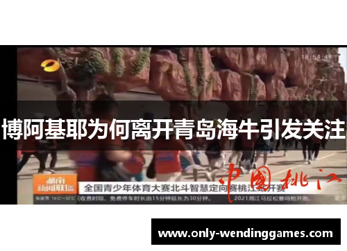 博阿基耶为何离开青岛海牛引发关注 博阿基耶为何离开青岛海牛引发关注