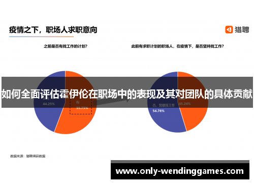 如何全面评估霍伊伦在职场中的表现及其对团队的具体贡献