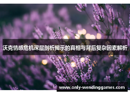沃克情感危机深层剖析揭示的真相与背后复杂因素解析