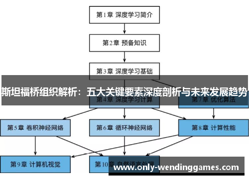斯坦福桥组织解析:五大关键要素深度剖析与未来发展趋势 斯坦福桥组织解析:五大关键要素深度剖析与未来发展趋势