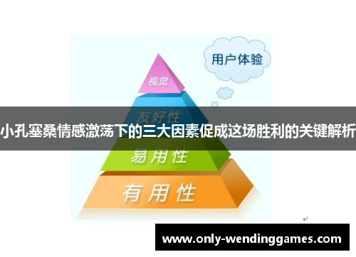 小孔塞桑情感激荡下的三大因素促成这场胜利的关键解析 小孔塞桑情感激荡下的三大因素促成这场胜利的关键解析