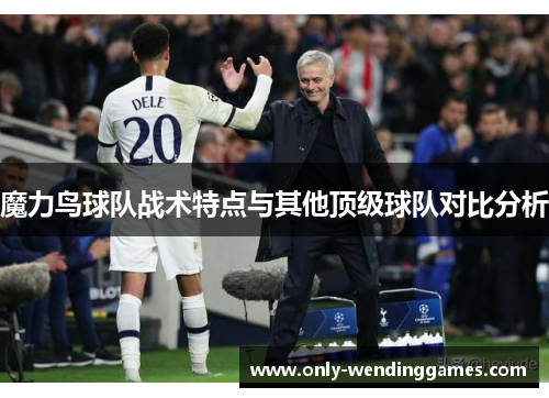 魔力鸟球队战术特点与其他顶级球队对比分析 魔力鸟球队战术特点与其他顶级球队对比分析