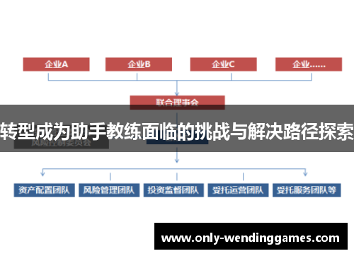 转型成为助手教练面临的挑战与解决路径探索 转型成为助手教练面临的挑战与解决路径探索