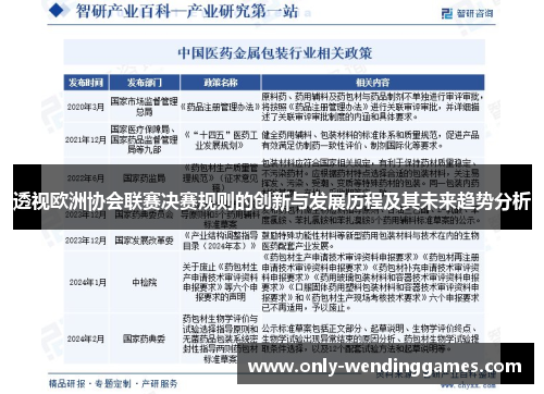 透视欧洲协会联赛决赛规则的创新与发展历程及其未来趋势分析